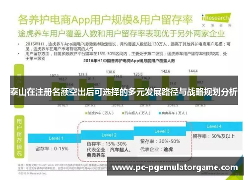 泰山在注册名额空出后可选择的多元发展路径与战略规划分析