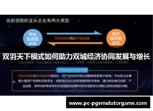 双羽天下模式如何助力双城经济协同发展与增长