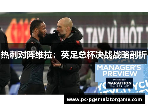 热刺对阵维拉：英足总杯决战战略剖析