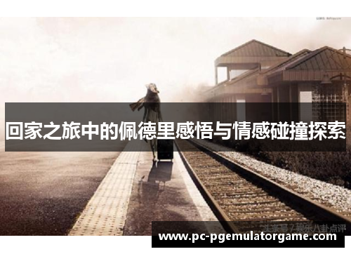 回家之旅中的佩德里感悟与情感碰撞探索