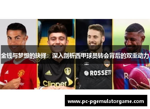 金钱与梦想的抉择：深入剖析西甲球员转会背后的双重动力