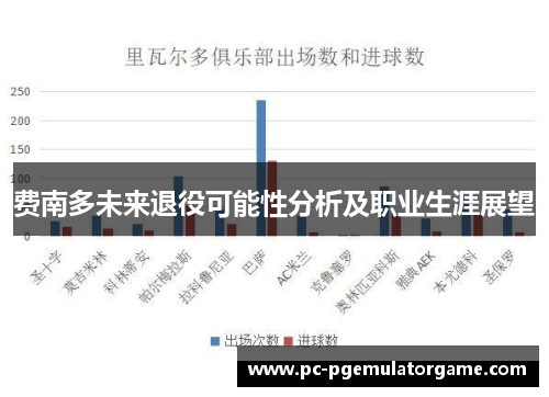 费南多未来退役可能性分析及职业生涯展望