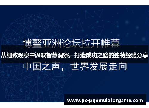 从细致观察中汲取智慧洞察，打造成功之路的独特经验分享
