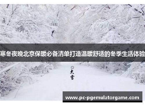 寒冬夜晚北京保暖必备清单打造温暖舒适的冬季生活体验