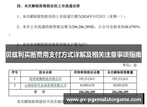 贝兹利买断费用支付方式详解及相关注意事项指南