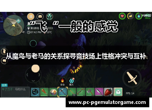 从魔鸟与老马的关系探寻竞技场上性格冲突与互补