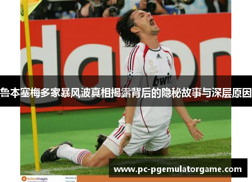 鲁本塞梅多家暴风波真相揭露背后的隐秘故事与深层原因