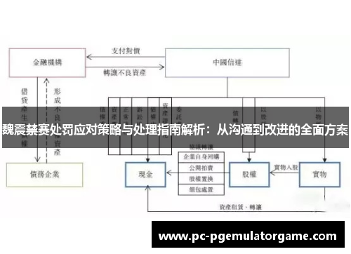 魏震禁赛处罚应对策略与处理指南解析：从沟通到改进的全面方案