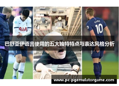 巴舒亚伊语言使用的五大独特特点与表达风格分析