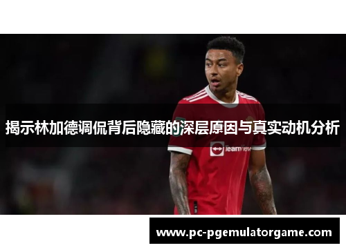 揭示林加德调侃背后隐藏的深层原因与真实动机分析