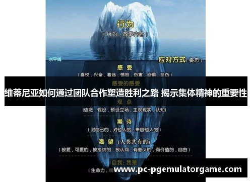 维蒂尼亚如何通过团队合作塑造胜利之路 揭示集体精神的重要性