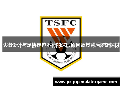 队徽设计与足协定位不符的深层原因及其背后逻辑探讨