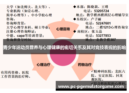 青少年运动员营养与心理健康的密切关系及其对竞技表现的影响
