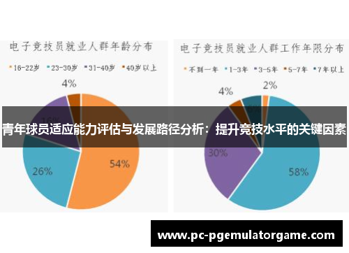 青年球员适应能力评估与发展路径分析：提升竞技水平的关键因素