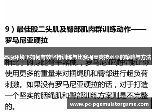 高原环境下如何有效坚持训练与比赛提高竞技水平的策略与方法