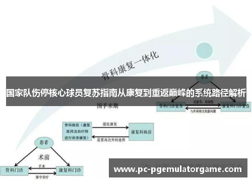 国家队伤停核心球员复苏指南从康复到重返巅峰的系统路径解析