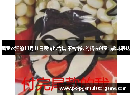 最受欢迎的11月11日表情包合集 不容错过的精选创意与趣味表达