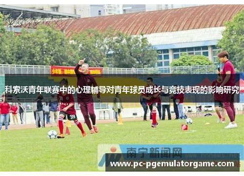科索沃青年联赛中的心理辅导对青年球员成长与竞技表现的影响研究 科索沃青年联赛中的心理辅导对青年球员成长与竞技表现的影响研究