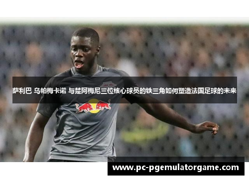 萨利巴 乌帕梅卡诺 与楚阿梅尼三位核心球员的铁三角如何塑造法国足球的未来